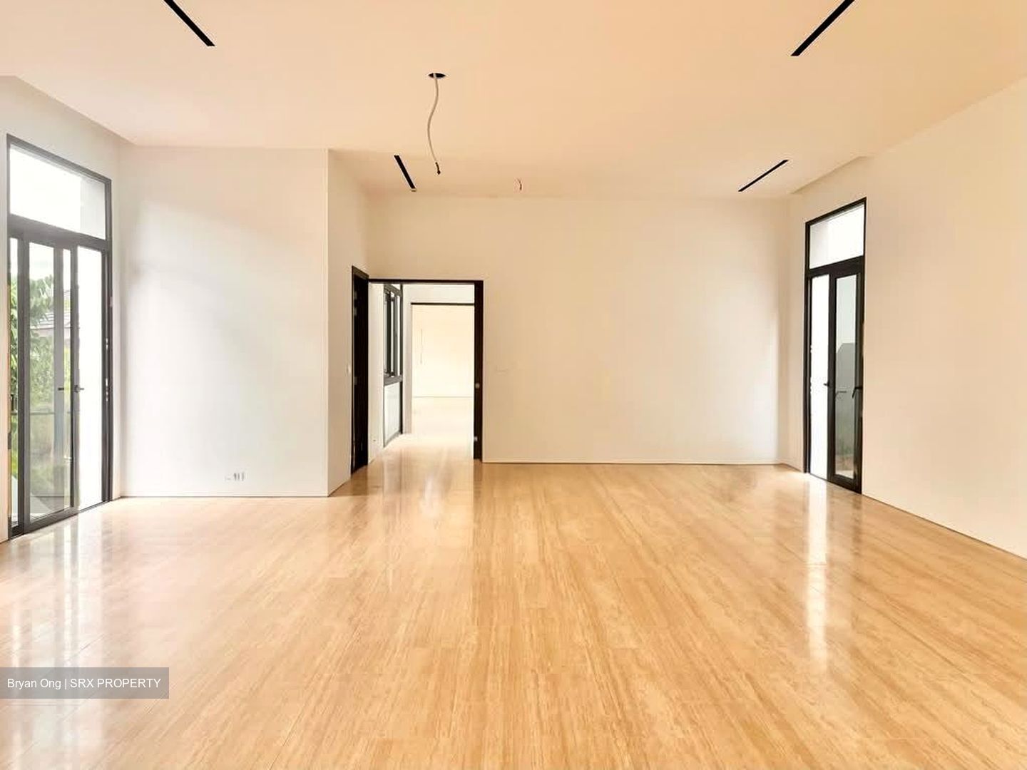 Henry Park (D10), Detached #533846221